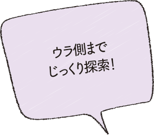 ウラ側までじっくり探索!